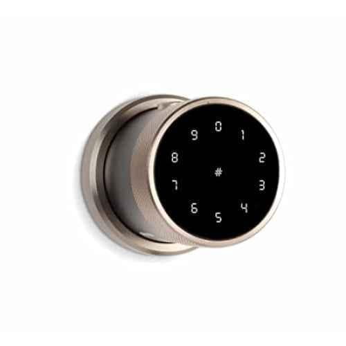Ozone OZ-FDL-11 Life Gold Smart Lock with Google Assistant & Alexa Enabled